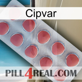 Cipvar 18